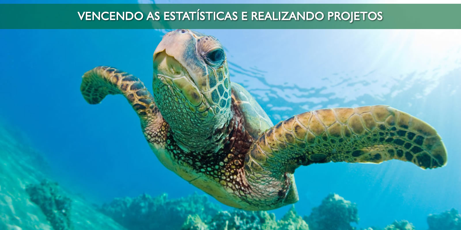 Figura 5 - PEQUENAS E MÉDIAS EMPRESAS PRECISAM DE MUITO MAIS QUE UM CONTADOR DESPACHANTE